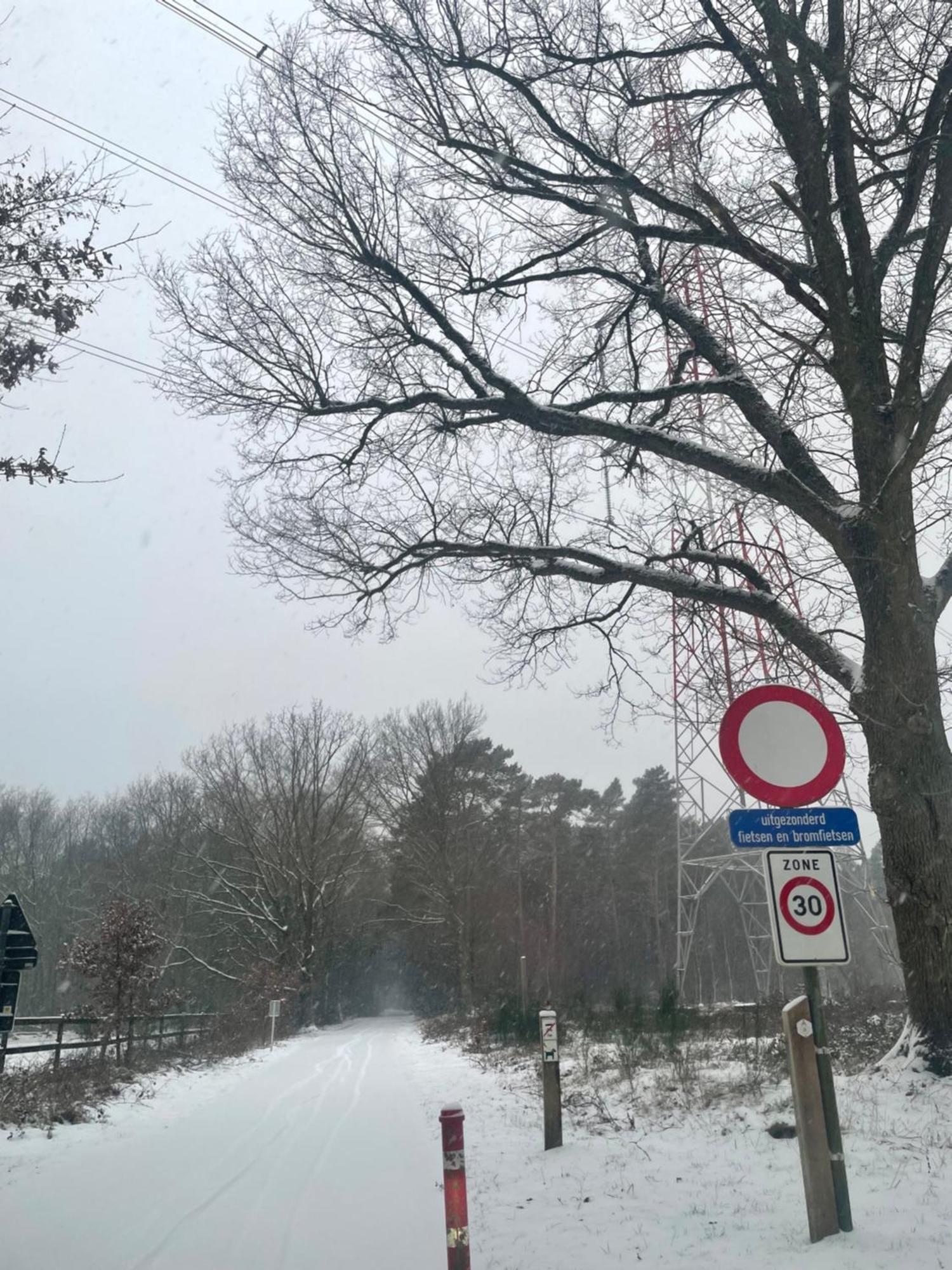 Chalet Sint-Hubertus Du Bois 祖滕达尔 外观 照片