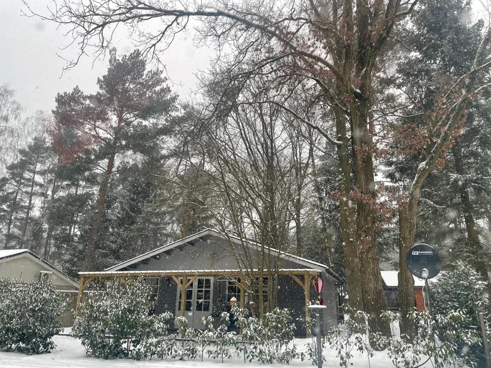 Chalet Sint-Hubertus Du Bois 祖滕达尔 外观 照片