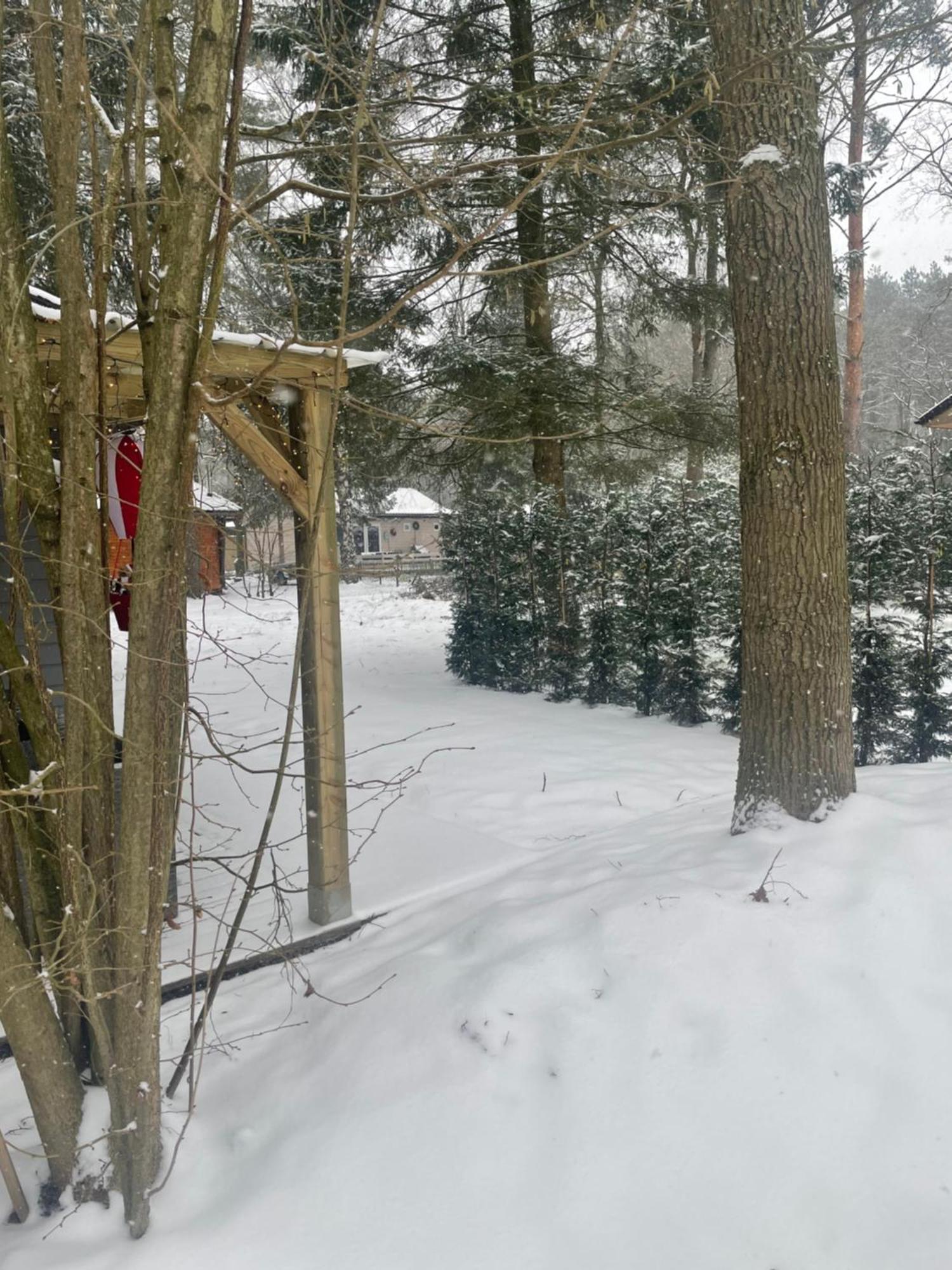 Chalet Sint-Hubertus Du Bois 祖滕达尔 外观 照片